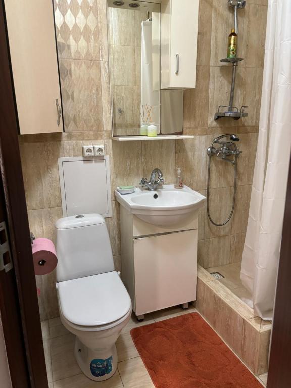 a bathroom with a toilet and a sink and a shower at Квартира в центре города Тирасполь! Тихий и удобный район! in Tiraspol