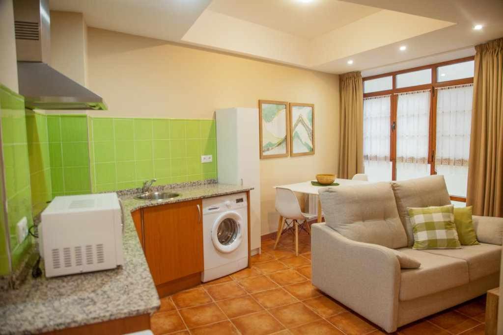 eine Küche mit einem Sofa und einer Waschmaschine in der Unterkunft Cumbres de los Picos Apartamento La Yedra in Poo de Cabrales