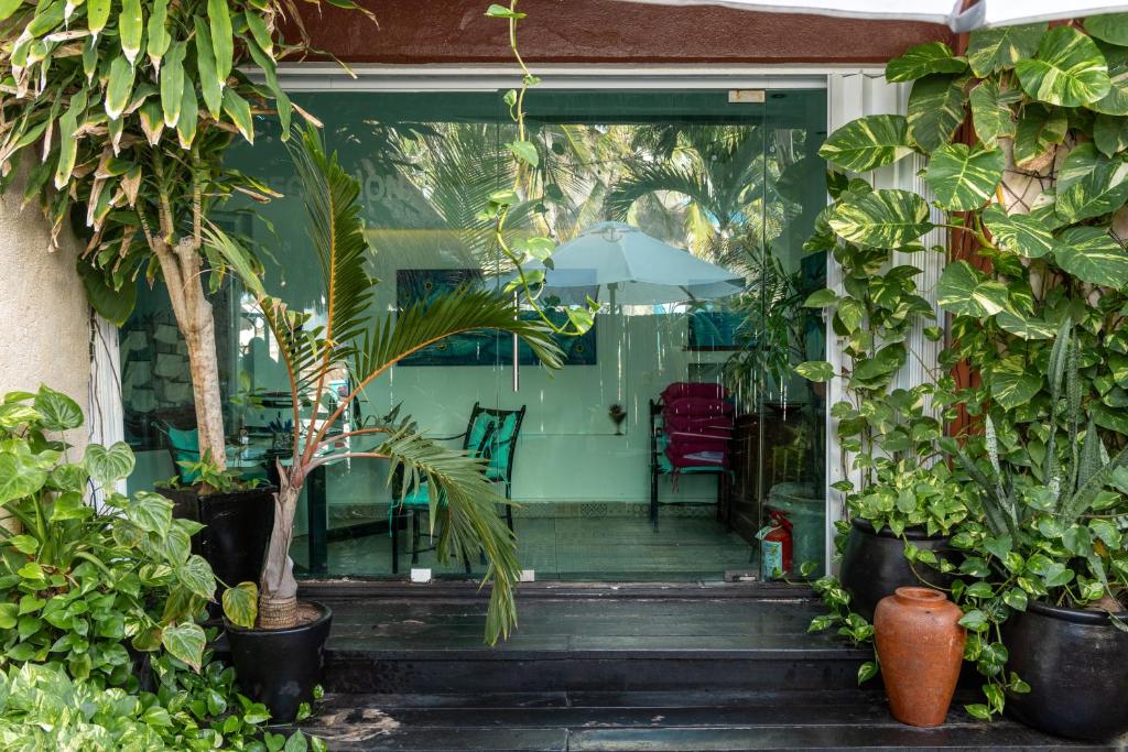 Um jardim em La Palma Beachfront Hotel Boutique - Self Check In