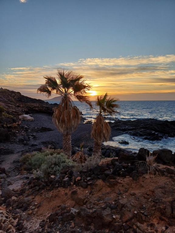 Naturlandskabet i nærheden af lejligheden
