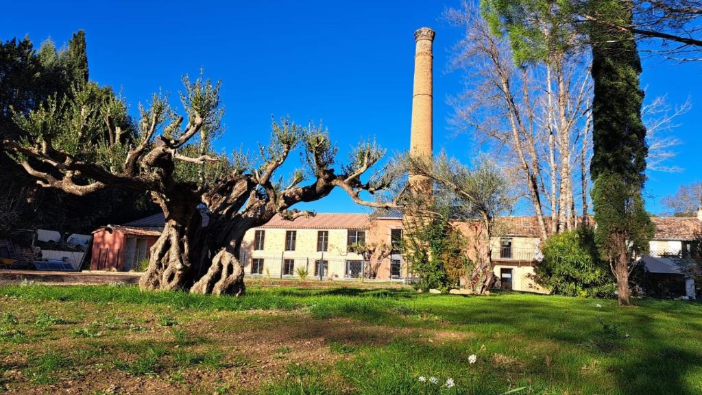 an old tree in front of a building with a chimney at L'Usine en Provence in Salernes