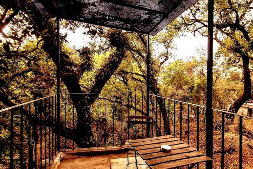 Fotografie z fotogalerie ubytování The Red Cabin at the bottom of Tepoztlán's Forest v destinaci Tepoztlán