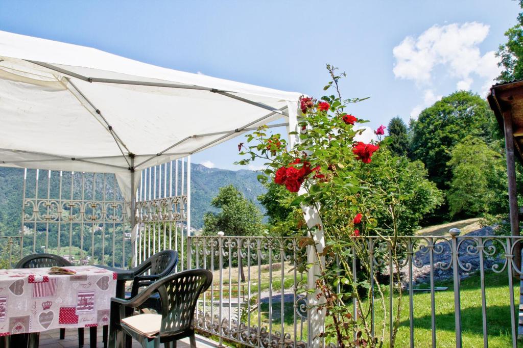 Zahrada ubytování B&B Casa Arcangeli