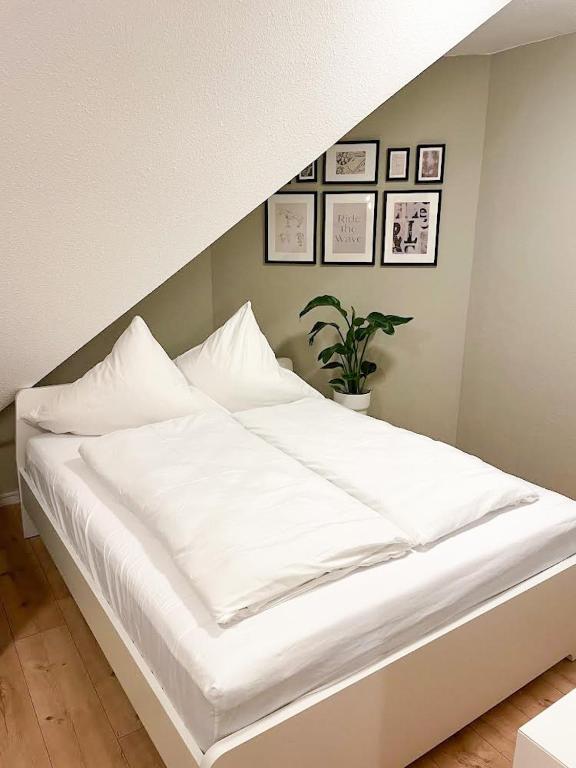 NAMI - ROBIN - Helle Apartments mitten in der Stadt - 15