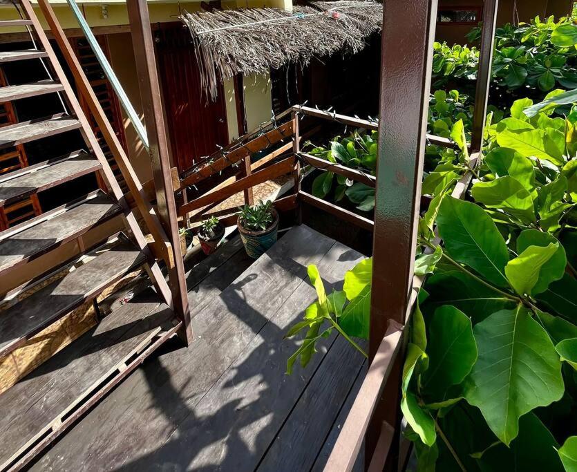 Casa Guiba 3 Puerto Escondido في بويرتو إسكونديدو: شرفة خشبية فيها نباتات وسلم ونباتات