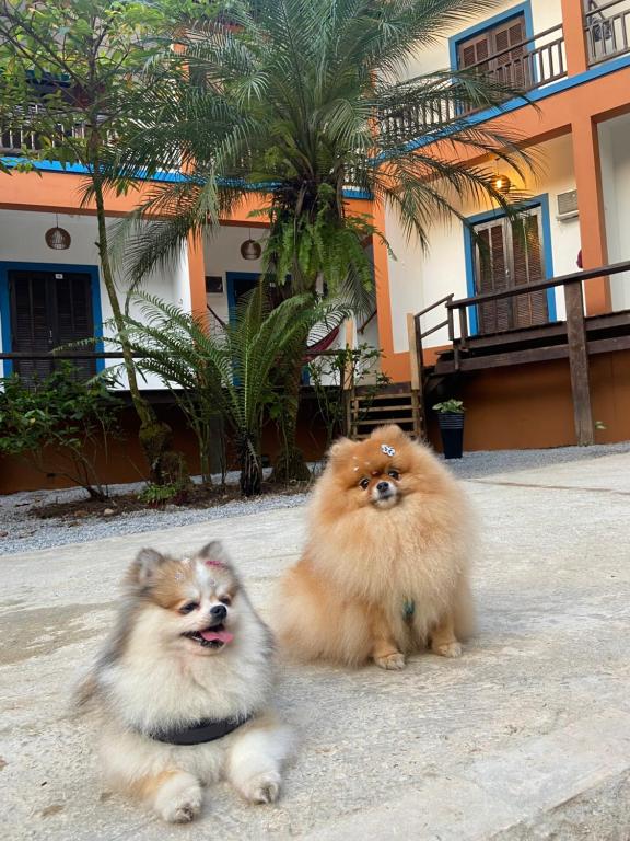 two dogs sitting next to each other in front of a building at Pousada Aquarela Maresias in Maresias