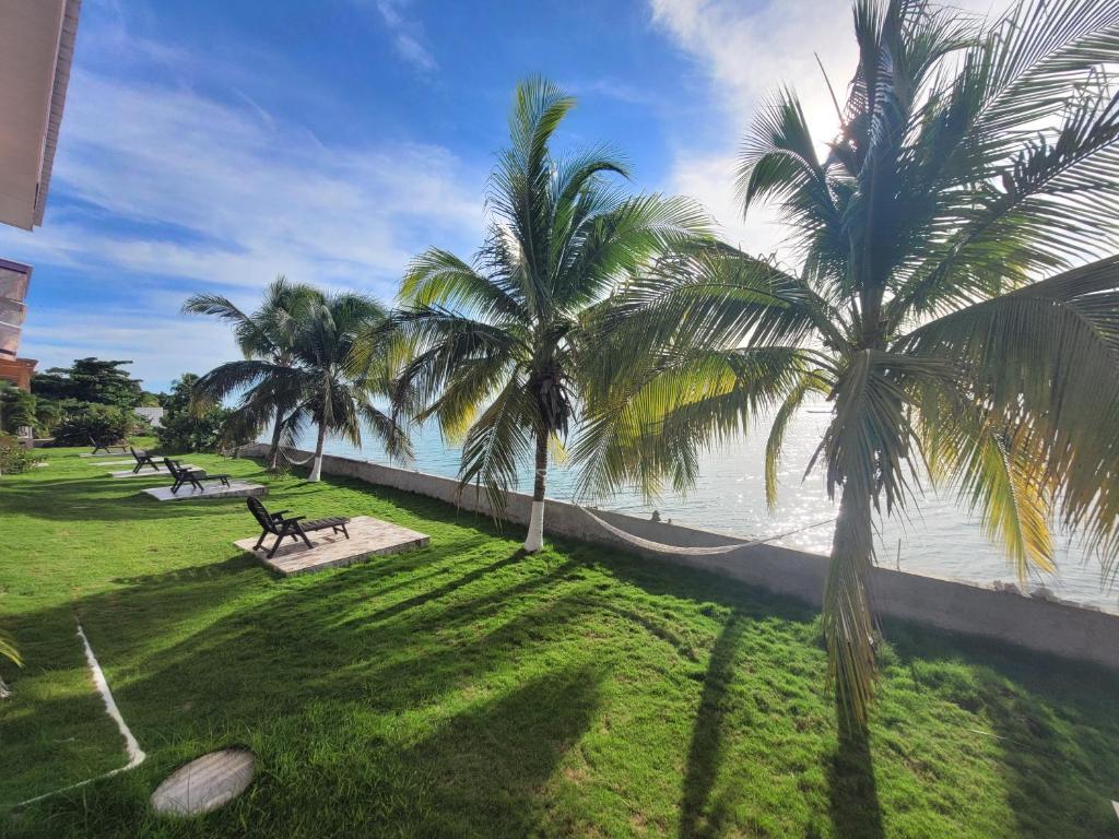 two palm trees in a park next to the water at HOTEL POSADA DEL MAR in Providencia