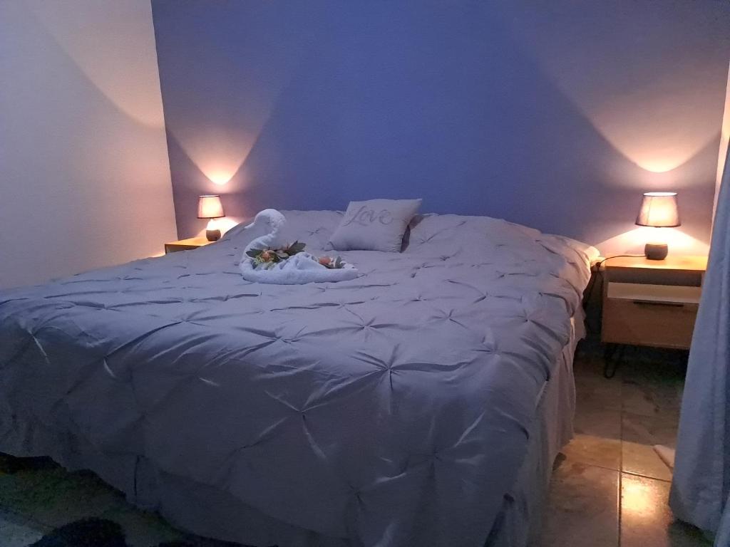sypialnia z łóżkiem z dwoma zwierzętami położonymi na nim w obiekcie Casa vista de luna w mieście Guaria