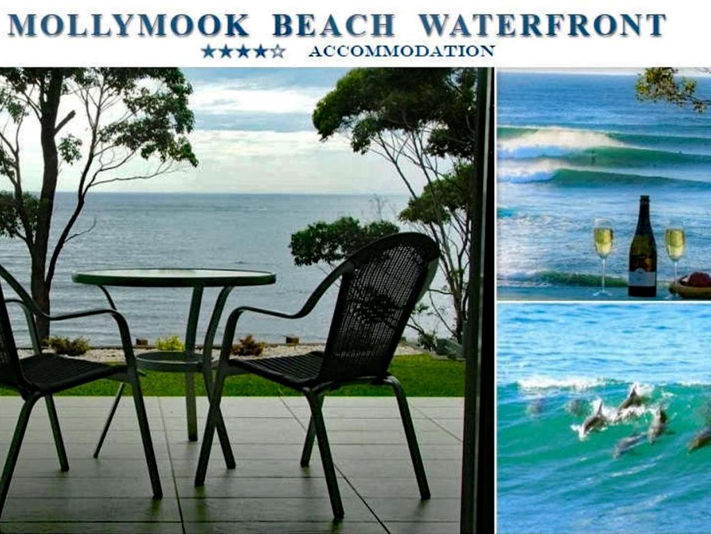 a table and a chair and a table and water at Mollymook Beach Waterfront in Mollymook