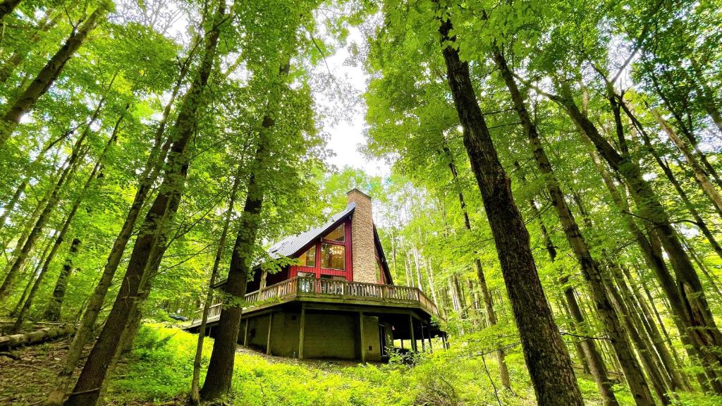 a small house in the middle of a forest at Private Hideaway with Hot Tub - Stylish & Serene in Ellicottville