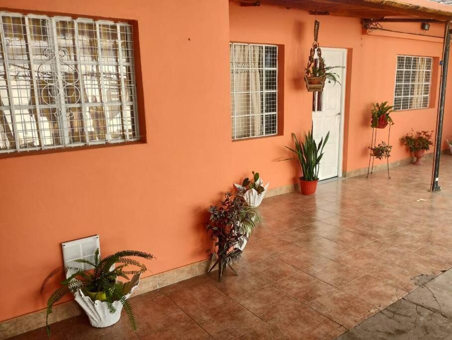 un mur orange avec des plantes en pot dans une pièce dans l'établissement Casa Interna Paraná, à Paraná