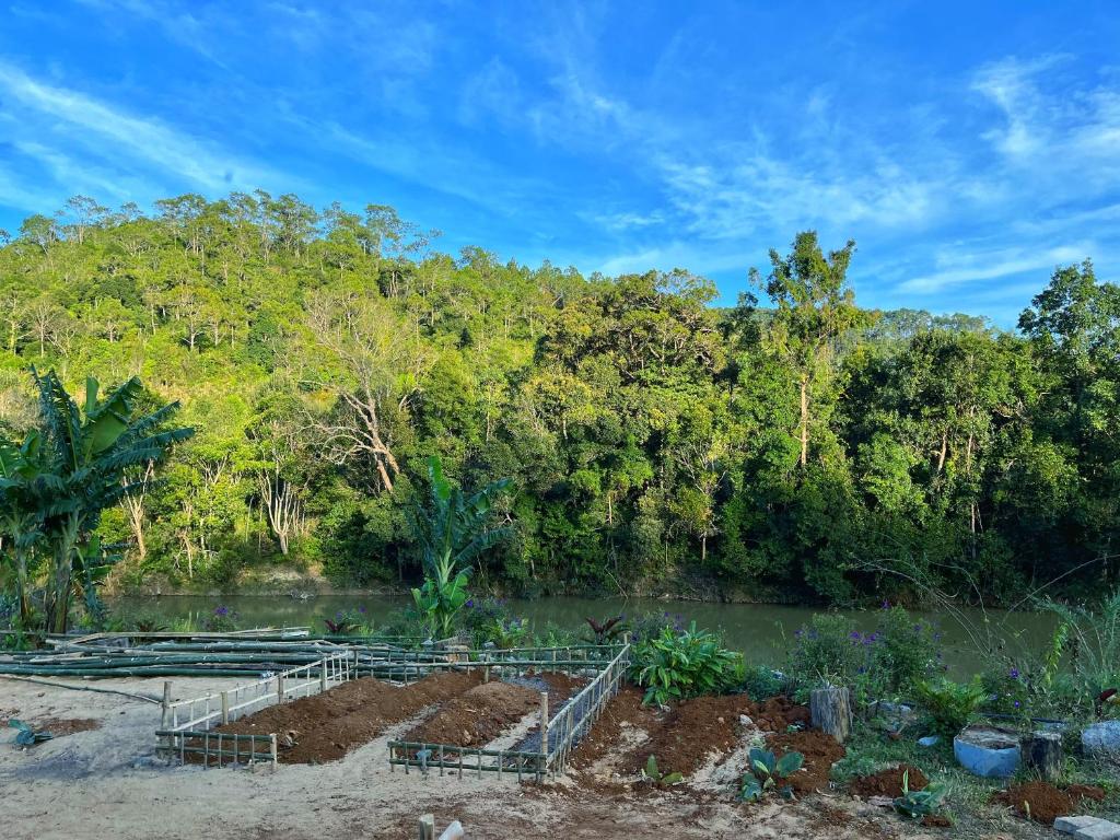 un giardino di fronte a un fiume con alberi di COI NGUON FARM GLAM Mang Den a Kon Von Kla