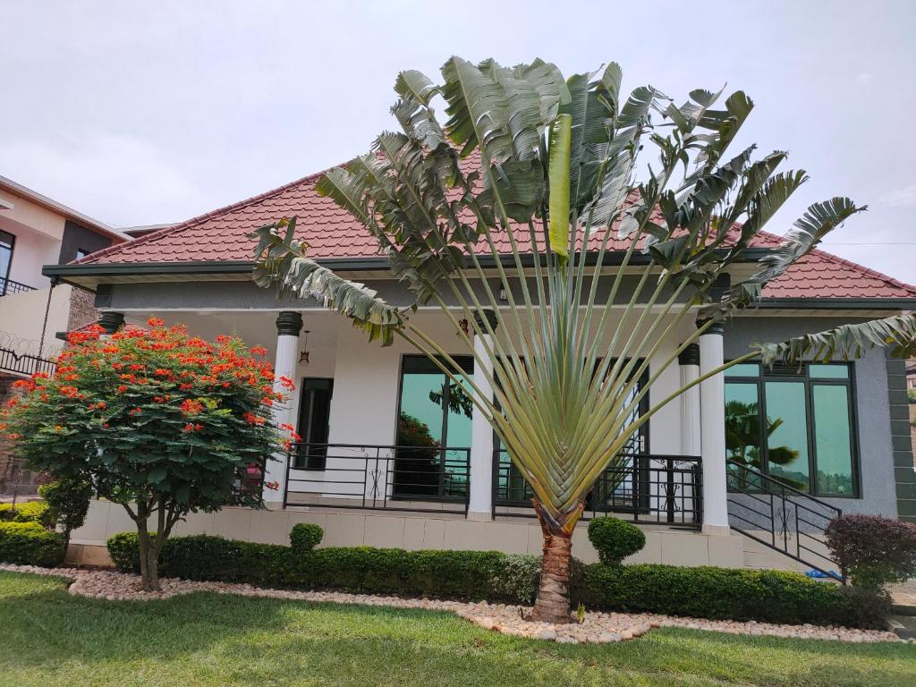a palm tree in front of a house at Villa Kikiriki in Kigali