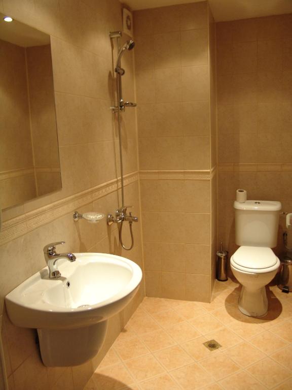 Koupelna v ubytování Zasheva Kushta Guesthouse