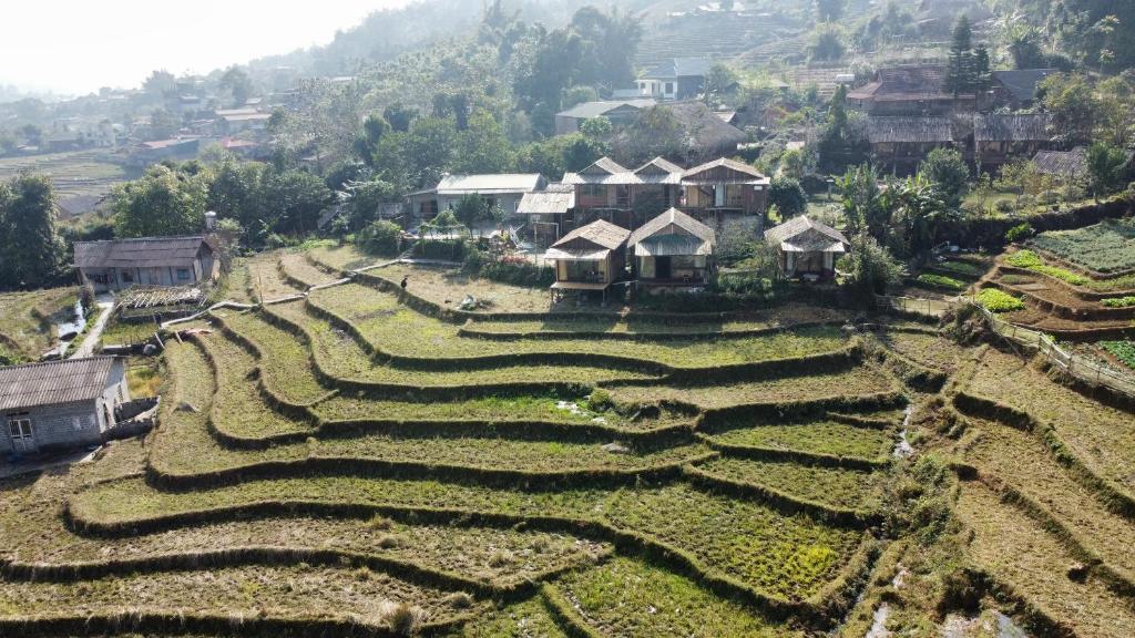 May Homestay Sapa - Housity