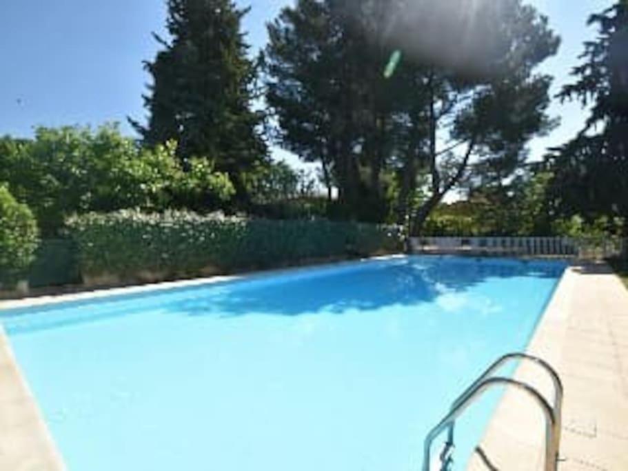 une grande piscine bleue avec des arbres en arrière-plan dans l'établissement APPT Cosy entier avec piscine, à Toulouse