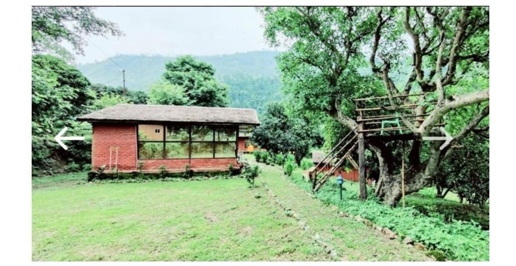 a small house in a field next to a tree at UPASANA THE RIVER SIDE RESORT in Marchula