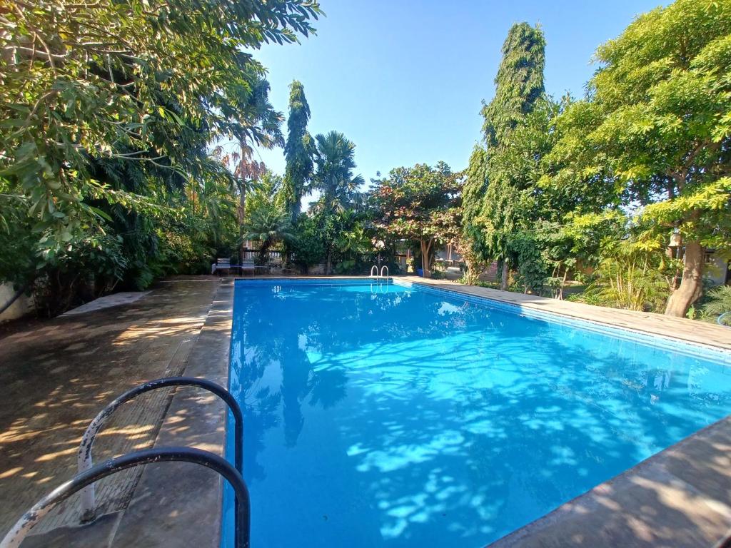 une piscine avec des arbres en arrière-plan dans l'établissement Green Park Resort, à Pushkar