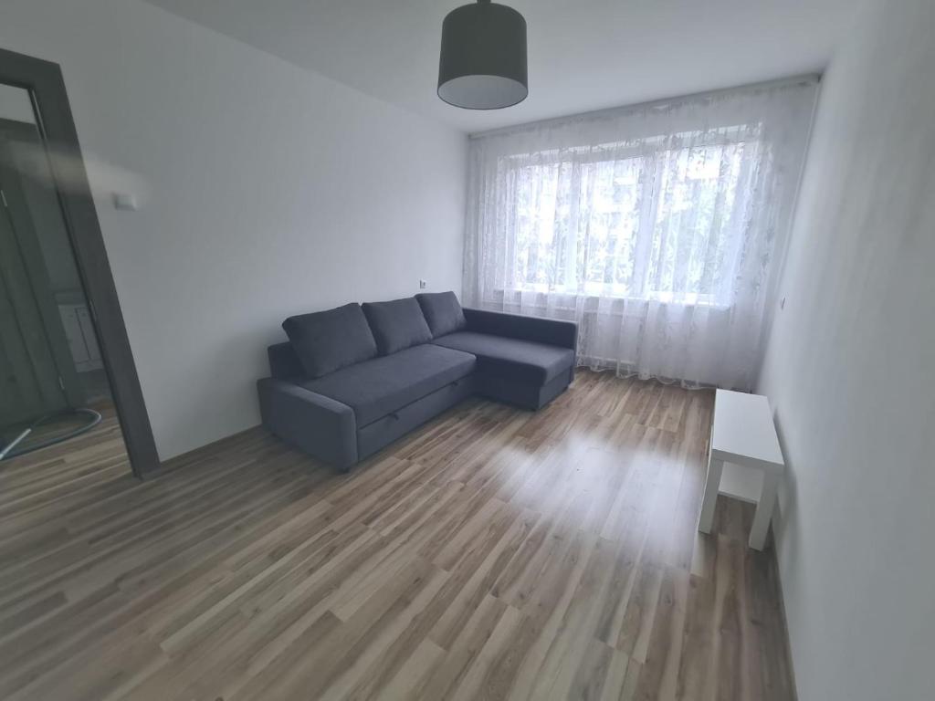 a living room with a couch and a table at Modern Studio flat(dedicated) in Vilnius