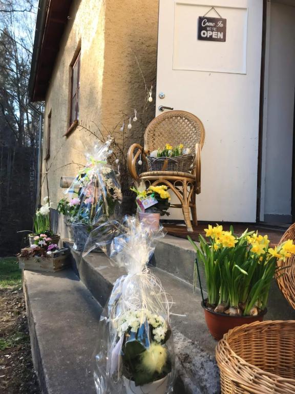 Zahrada ubytování Gamla Badhuset