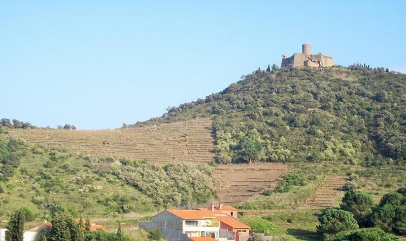 a house on top of a hill with a castle on it at 4VSE-LAM55 Appartement avec vue dégagée Collioure proche plage in Collioure
