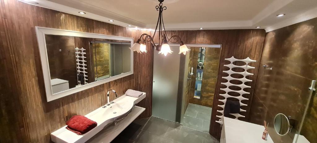 een badkamer met een wastafel en een douche bij Koasablick in Ebbs