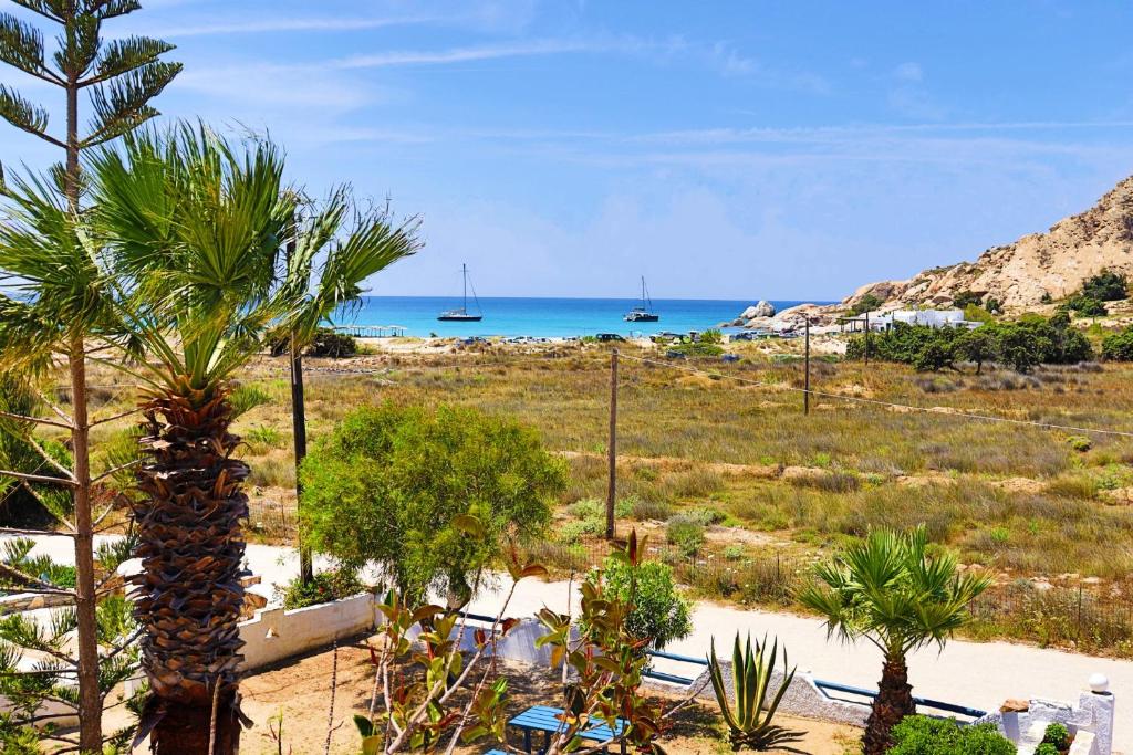 a view of a beach with a palm tree and the ocean at Coralli Beach Apartments in Mikri Vigla