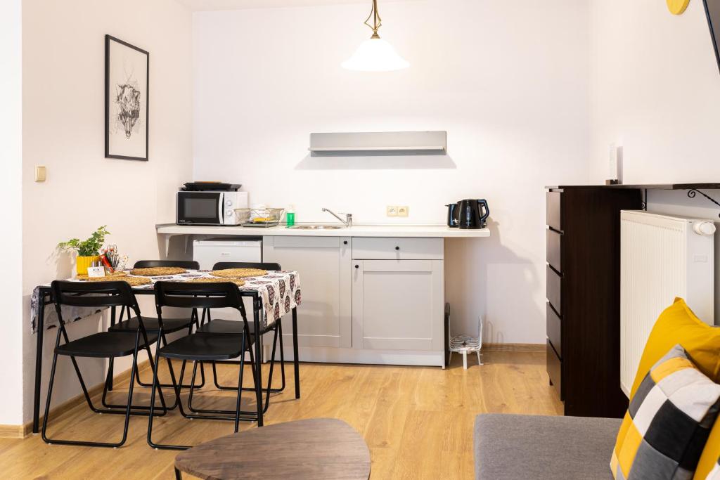 Kuchyň nebo kuchyňský kout v ubytování Molonówka Guest House