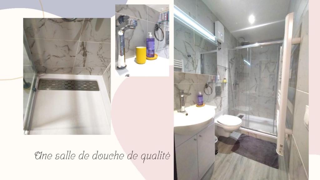 Um banheiro em Le Petit Suc du Puy En Velay , Hyper centre ,calme ,Parking proche