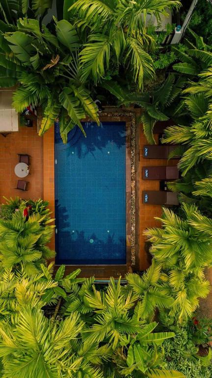 a building with a swimming pool surrounded by trees at RESIDENCE 1960 in Siem Reap