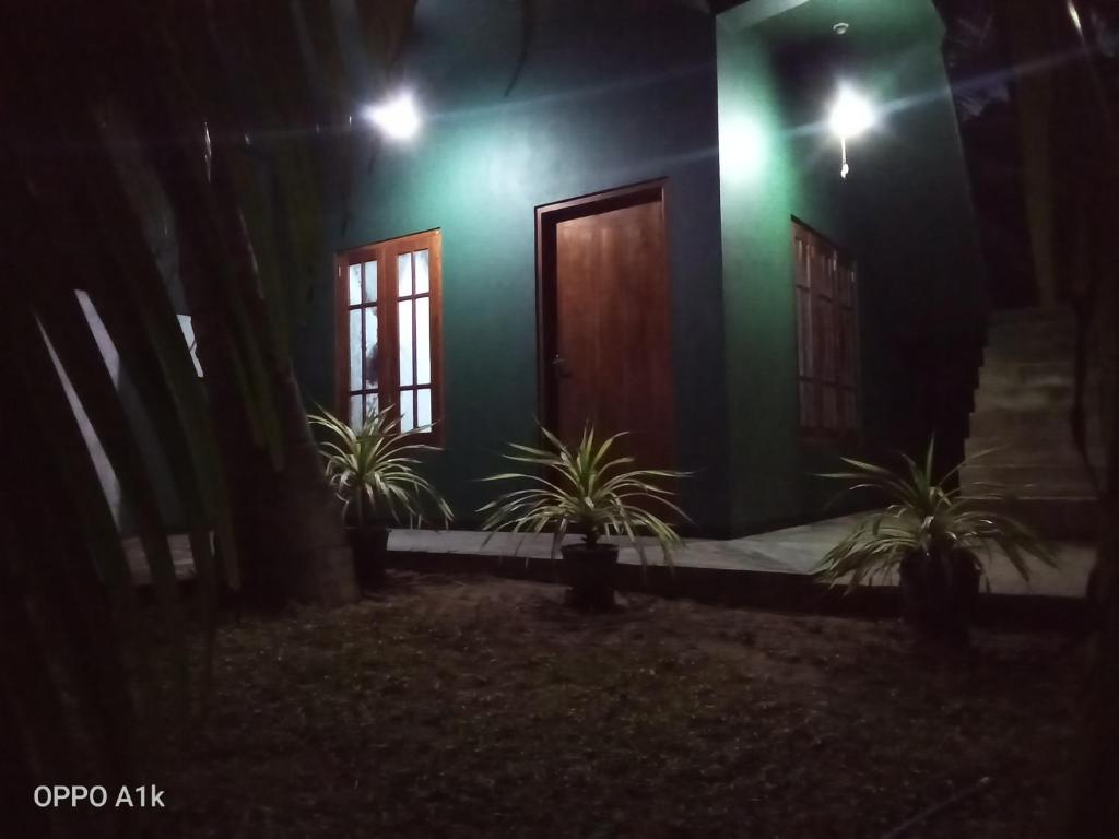 a green house at night with two plants in front at Green House Yala in Kirinda