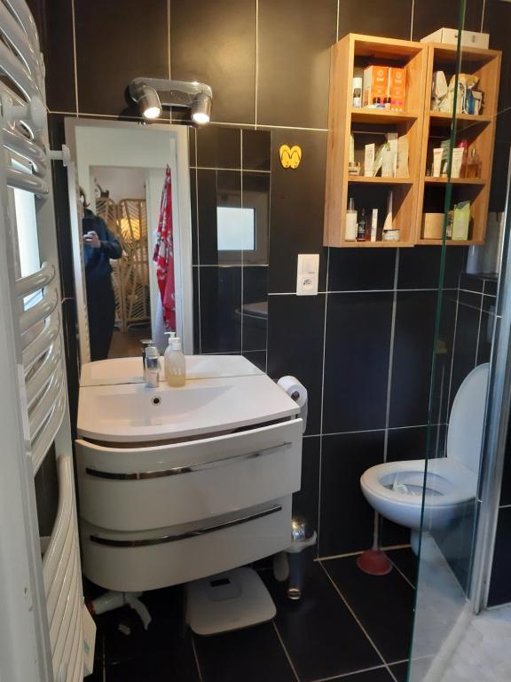 a bathroom with a sink and a toilet at Superb apartment with 108 sq ft terrace in Montreuil