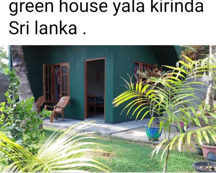 Zahrada ubytování Green House Yala