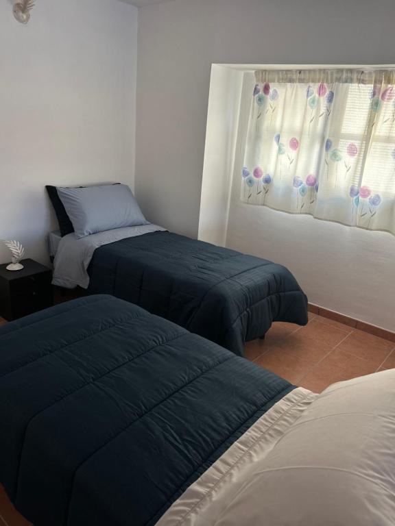 a bedroom with two beds and a window with curtains at B&B Panta Rei in Arezzo