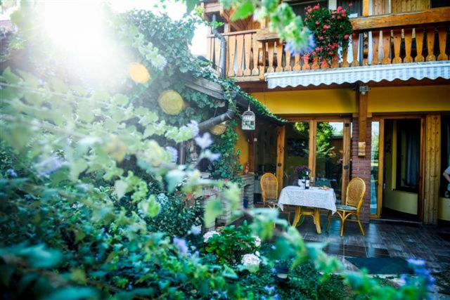 Aed väljaspool majutusasutust Siesta Vendégház