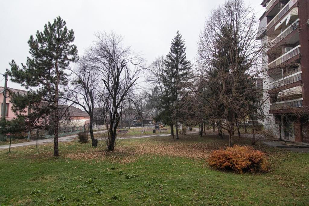 a group of trees in a park next to a building at Apartman TWO 