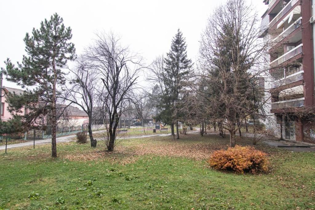 a park with trees next to a building at Apartman TWO 