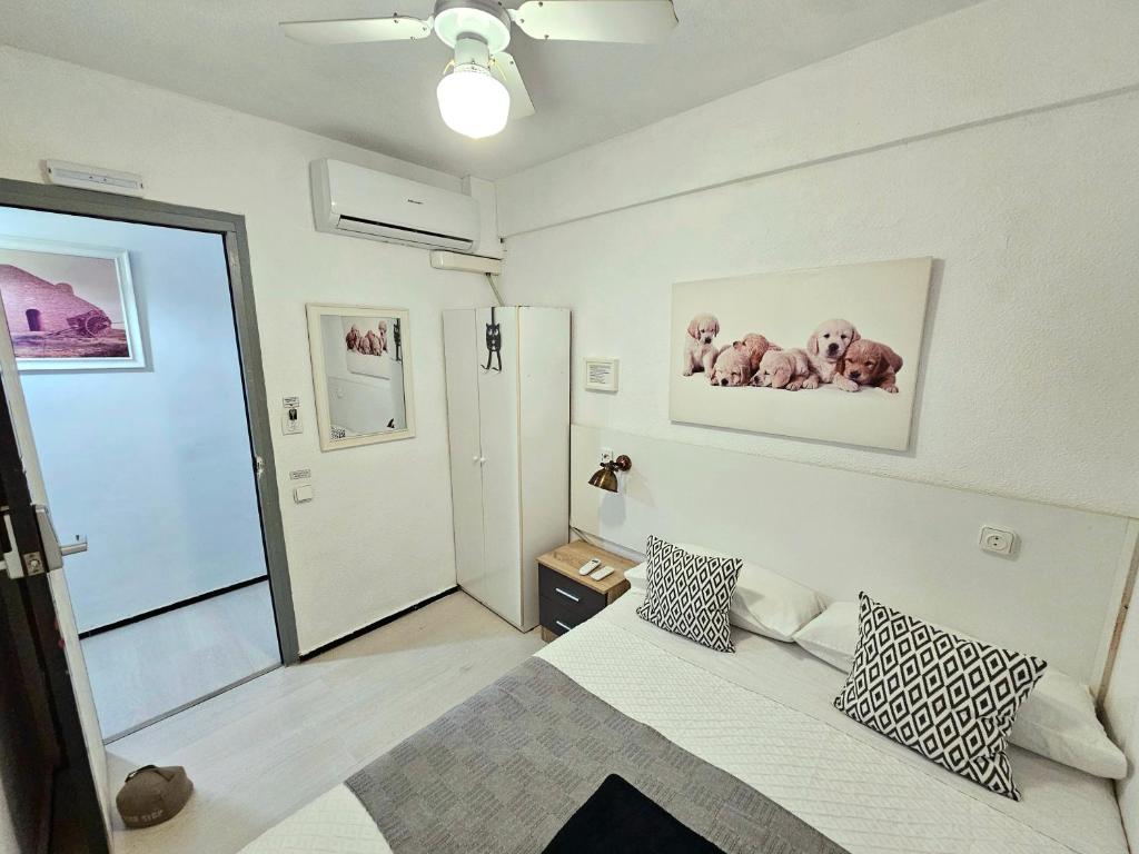 Centric Rooms Mercado - Small Single Room