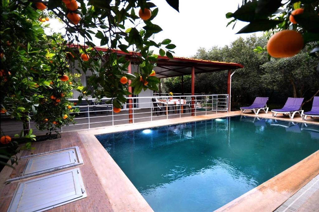 a swimming pool with two chairs and an orange tree at Avci Villa-Fethiye 3+1 in Garden with Private Pool, 10 minutes to the beach in Fethiye