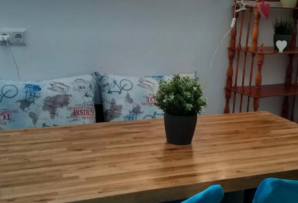 a wooden table with a potted plant on top of it at VIP apart 752 in Tbilisi City
