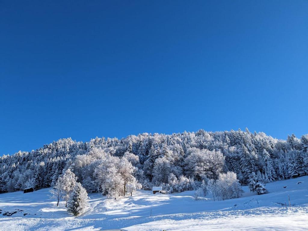 a snow covered hill with trees in the background at Apartment - Über den Wolken in Batschuns