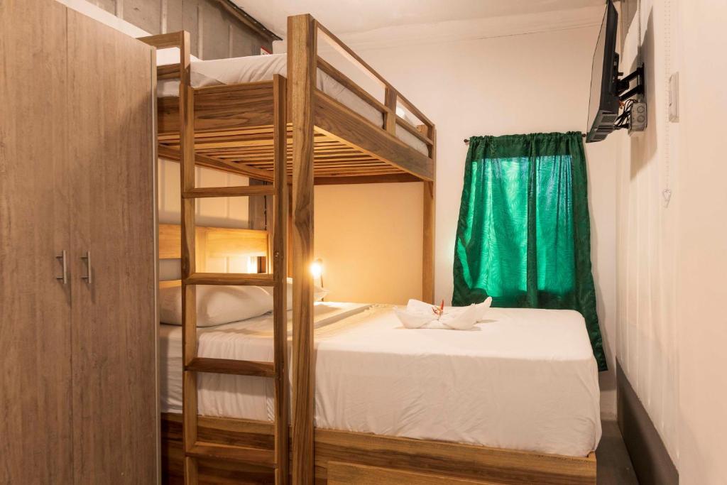 ein Schlafzimmer mit einem Etagenbett und einer Leiter in der Unterkunft Emi’s Place Container Living in Uvita