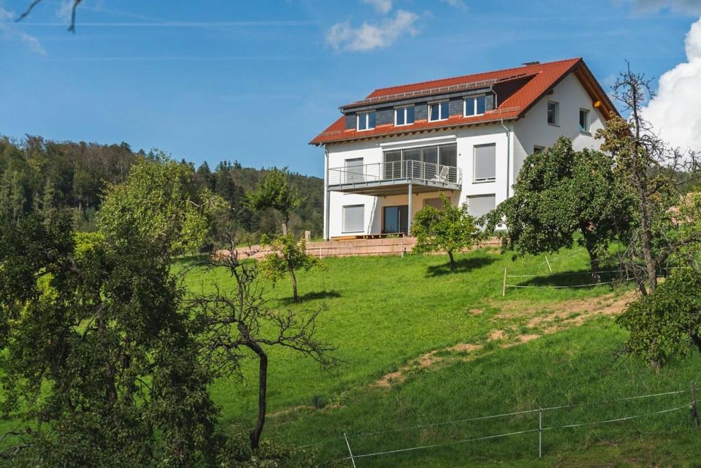 duży biały dom na wzgórzu z drzewami w obiekcie Grünewaldhof in Rimbach im Odenwald w mieście Rimbach