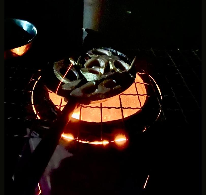 a plant in a pot on top of a stove at Family Resort in Mostiska