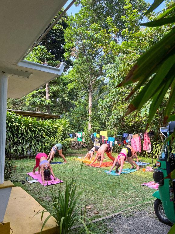 Zahrada ubytování Lazy Monkey Surfhostel - Sri Lanka