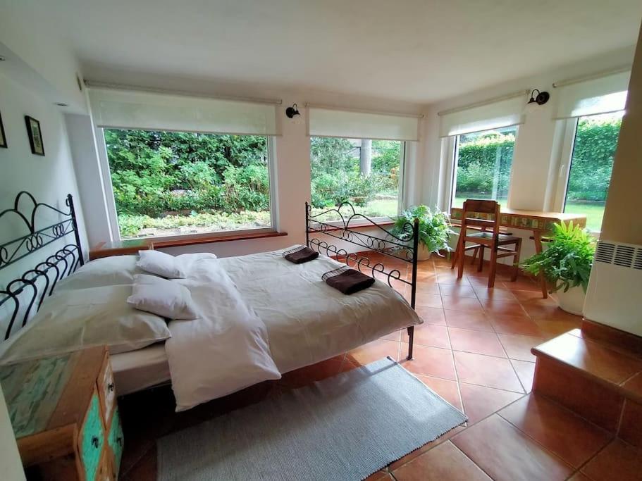 um quarto com uma cama grande num quarto com janelas em Spacious apartment in green district. em Breslávia