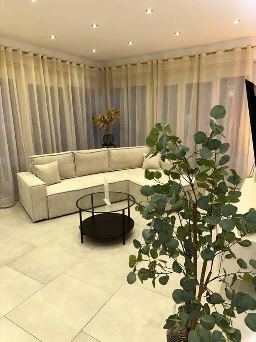Posezení v ubytování Comfort Apartment