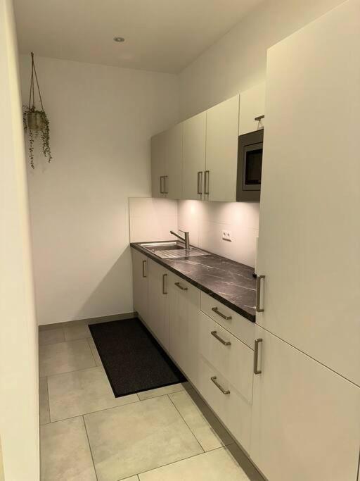 Kuchyň nebo kuchyňský kout v ubytování Comfort Apartment