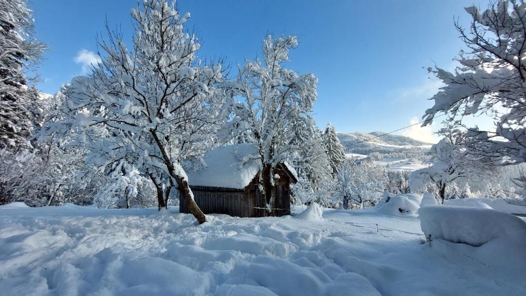 Lammerauhof during the winter