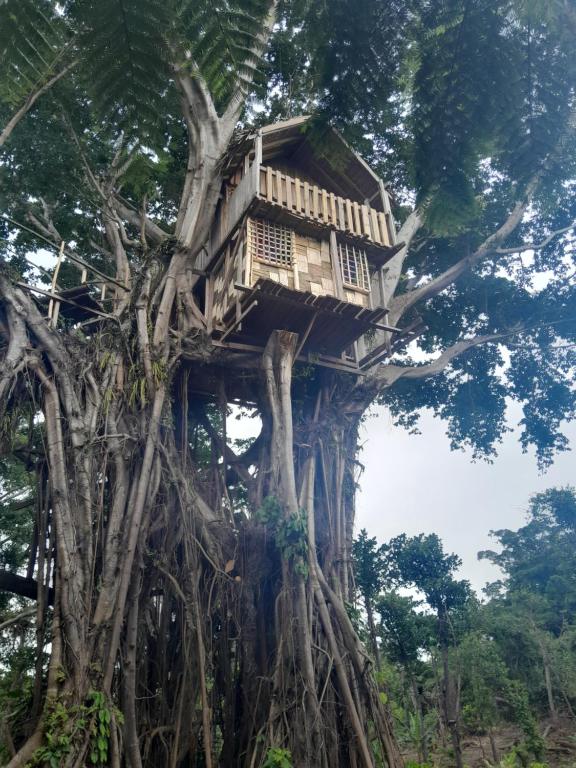 a tree house in the middle of a tree at Glowing Mountain view tree house in Loanengo